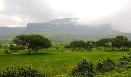 Anjaneri Fort Trek
